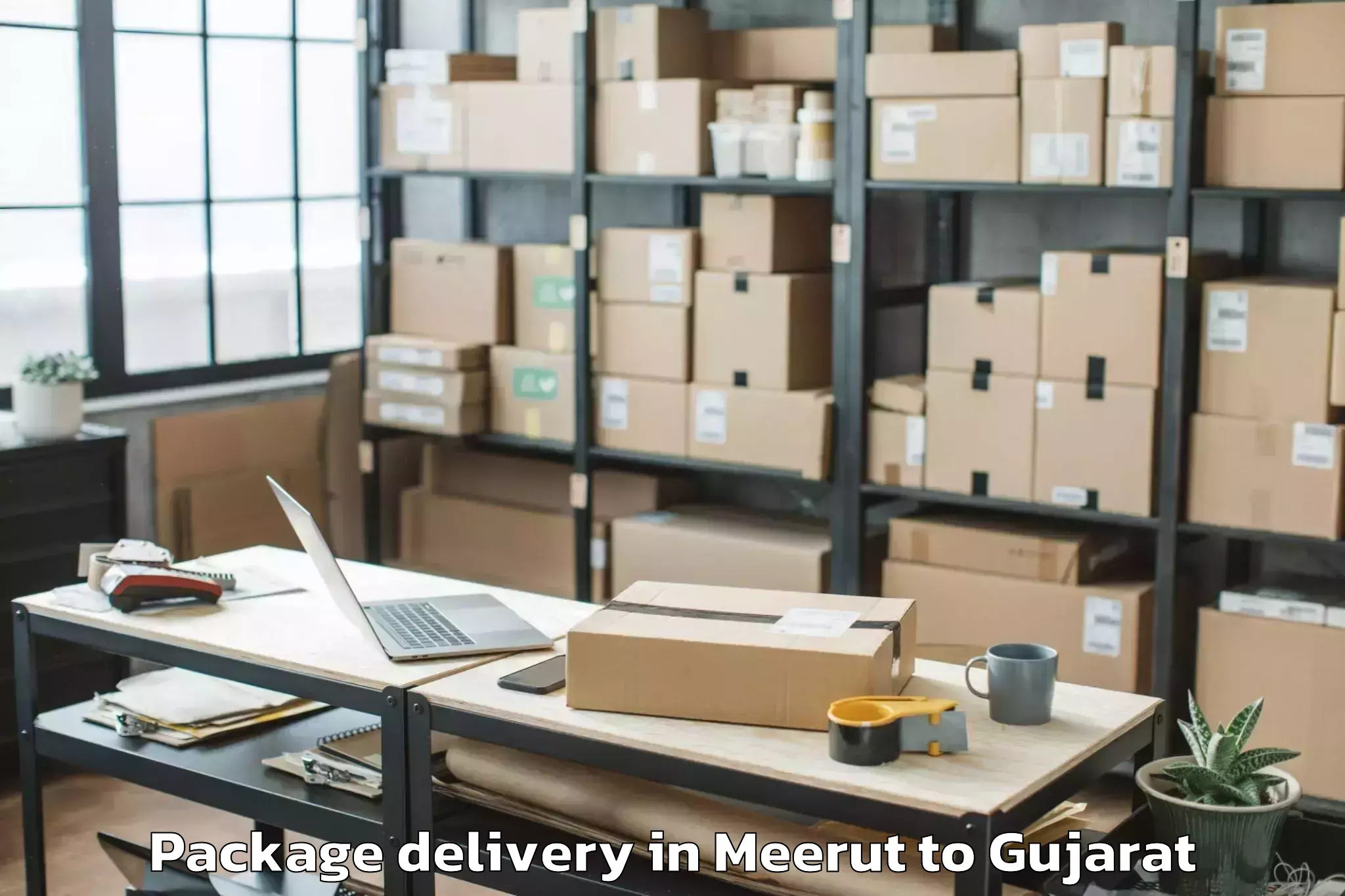 Trusted Meerut to Karnavati University Gandhinag Package Delivery